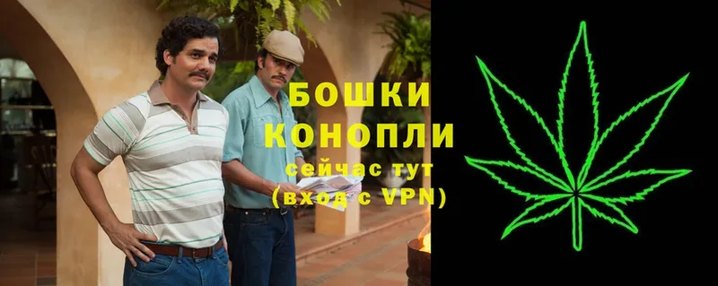 Каннабис OG Kush  Бежецк 